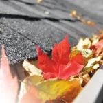 leaves in gutter