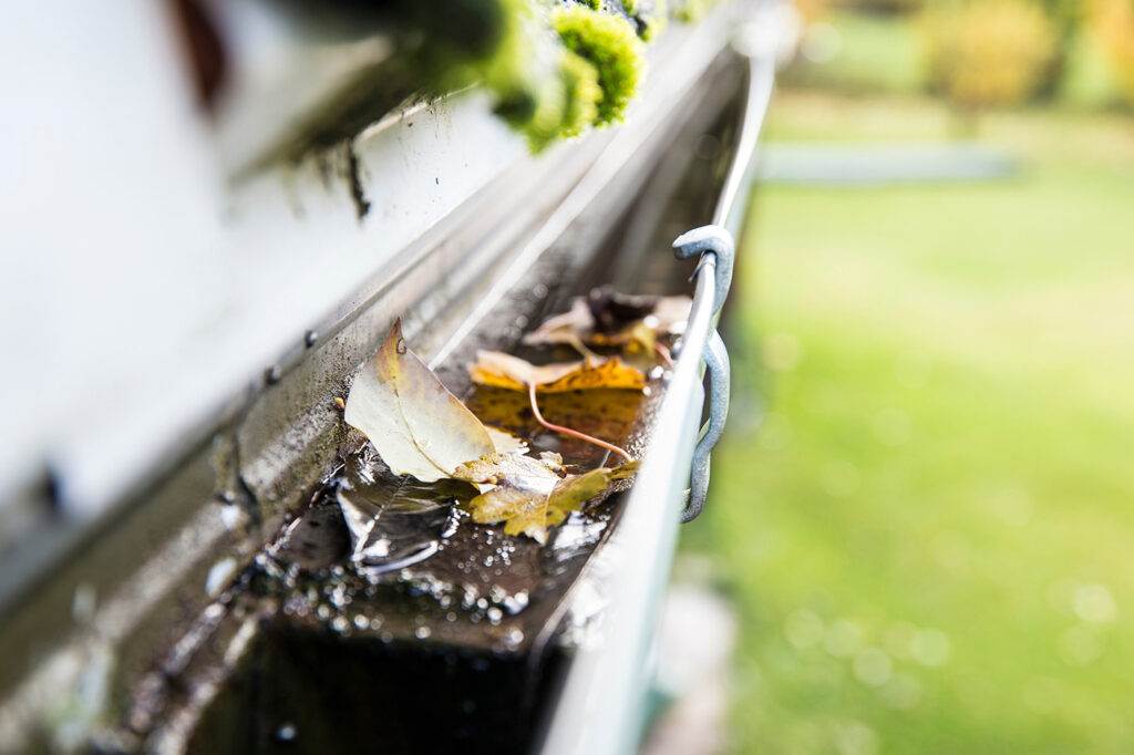 Gutters filled with Leaves on a home.