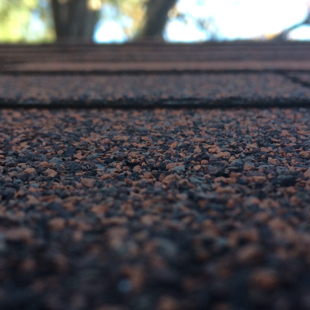 Shingles close-up