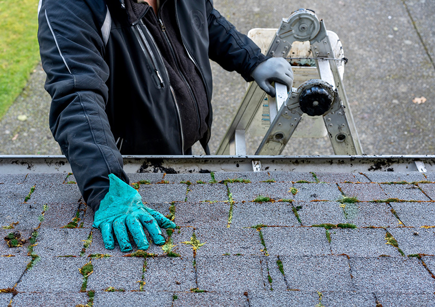 21 point roofing inspection