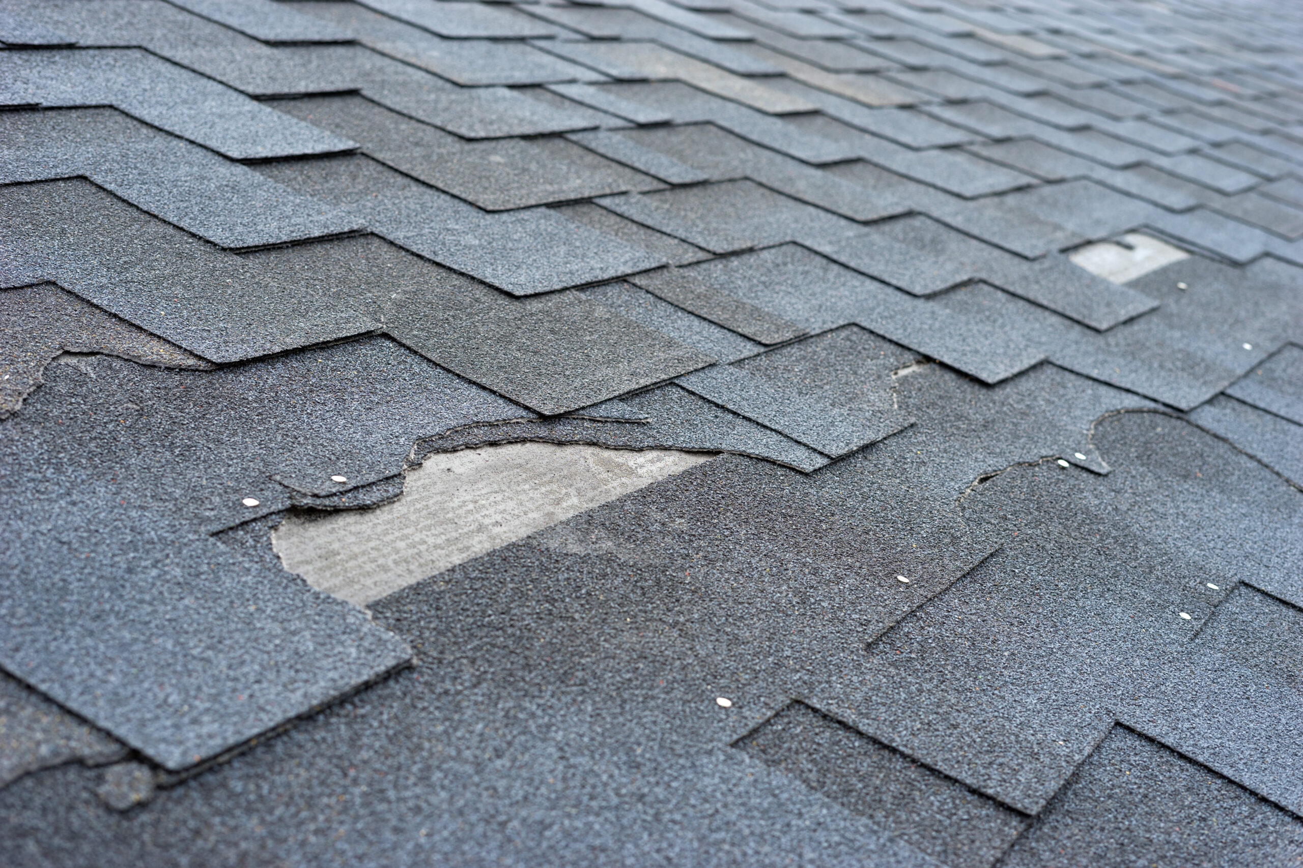 Damaged Shingles needing roof repair