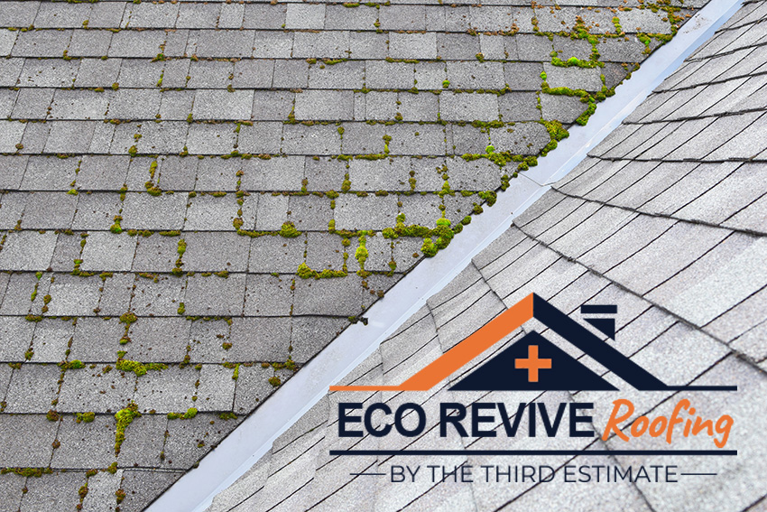 Eco Revive Roofing