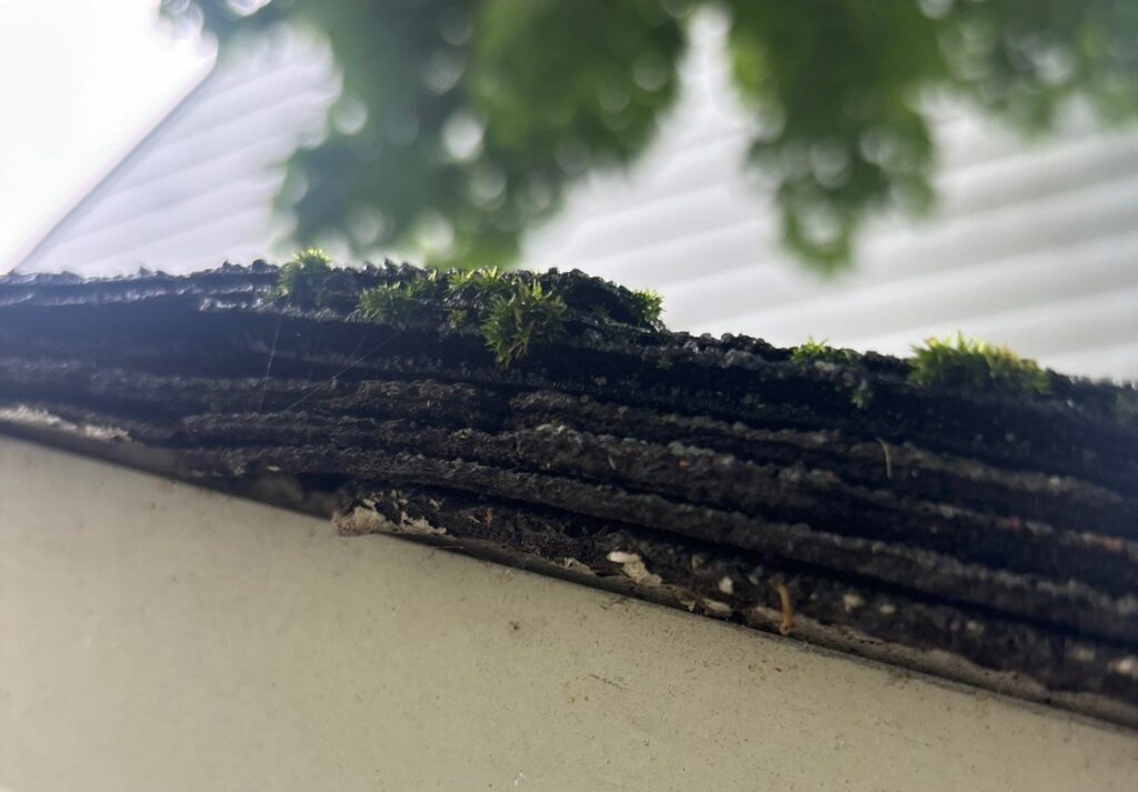 Multiple Layers of Shingles