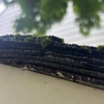 Multiple Layers of Shingles