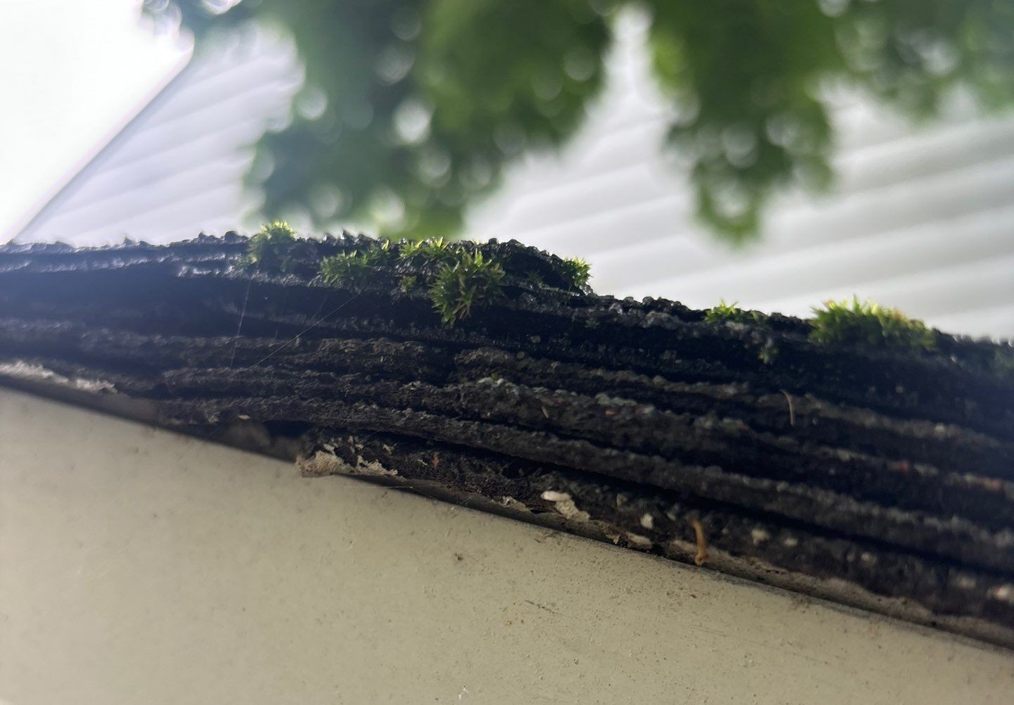 Multiple Layers of Shingles